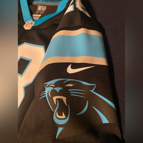 Carolina Panthers #28 Jonathon Stewart - Picture 4 of 7